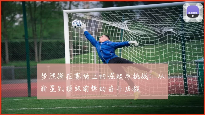 努涅斯在赛场上的崛起与挑战：从新星到顶级前锋的奋斗历程