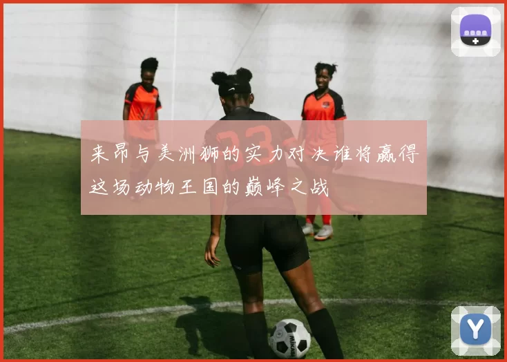 来昂与美洲狮的实力对决谁将赢得这场动物王国的巅峰之战